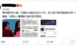 天涯爆料娱乐圈势力,天涯爆料背后的权力角逐